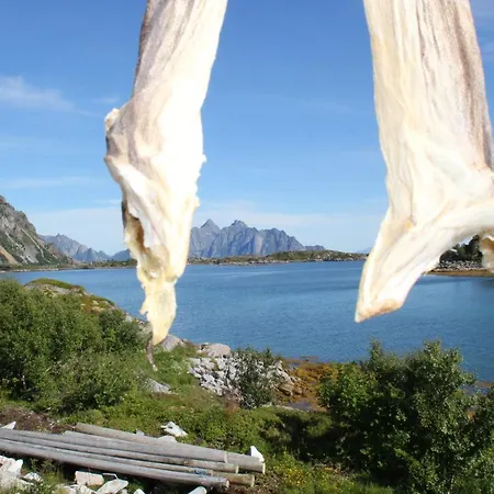 Lodge Bjerget *
