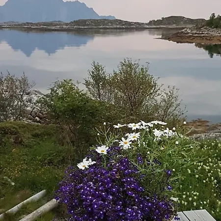 Hytte Bjerget