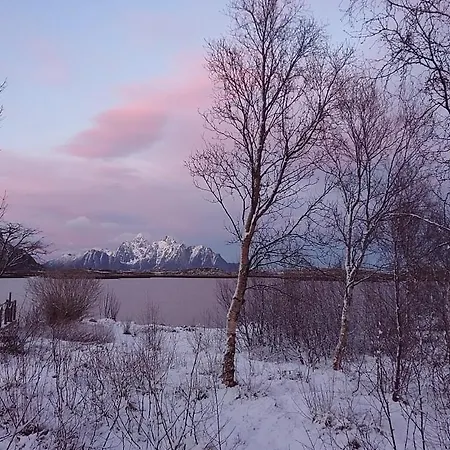 Lodge Bjerget *